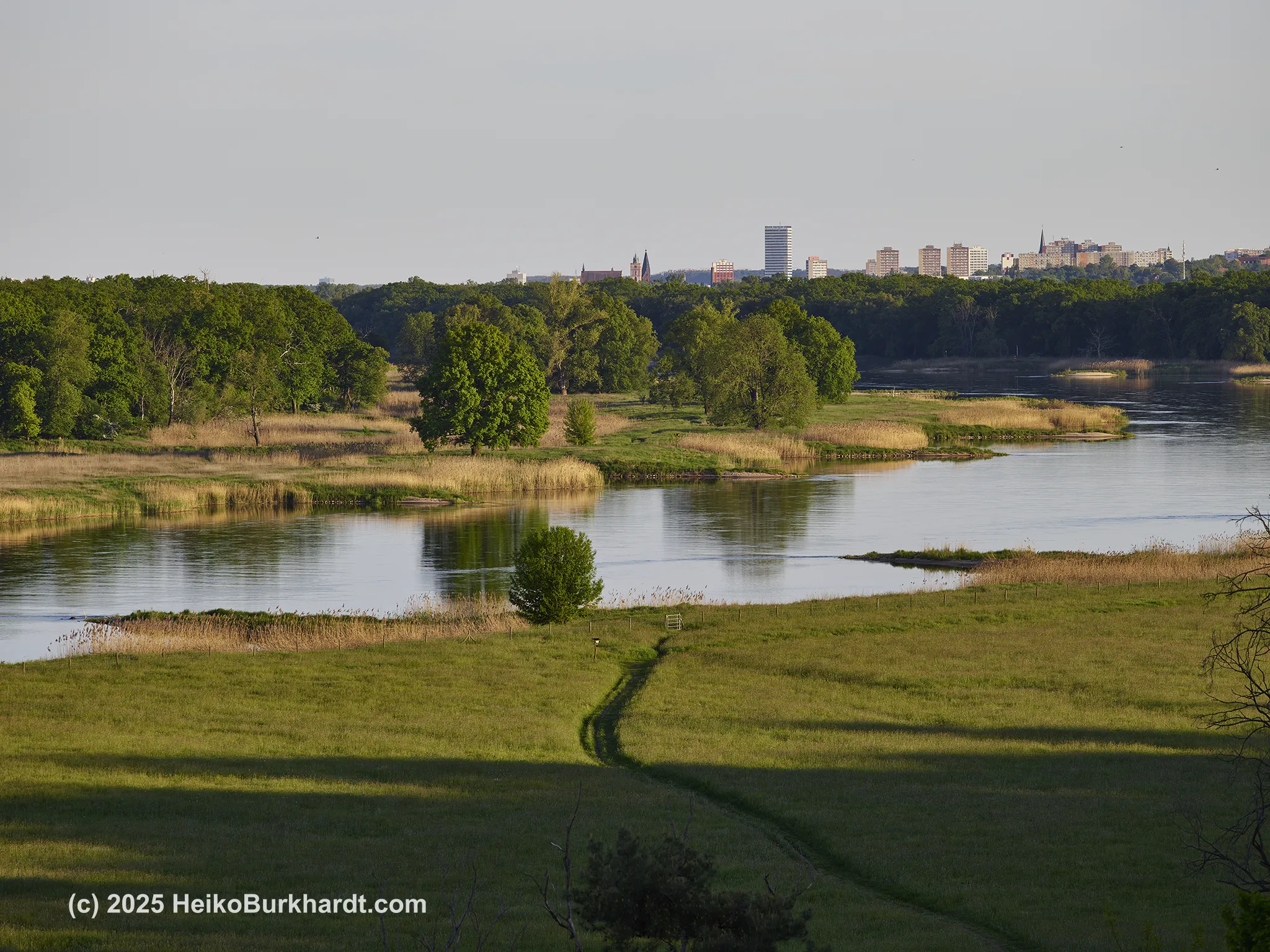 Oderlandschaft bei Frankfurt (Oder)